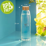 Luckymoose Üvegpalack 675 ml, kompatibilis a Sodastream Crystal 2.0 vízszénsavasítóval - Outlet24